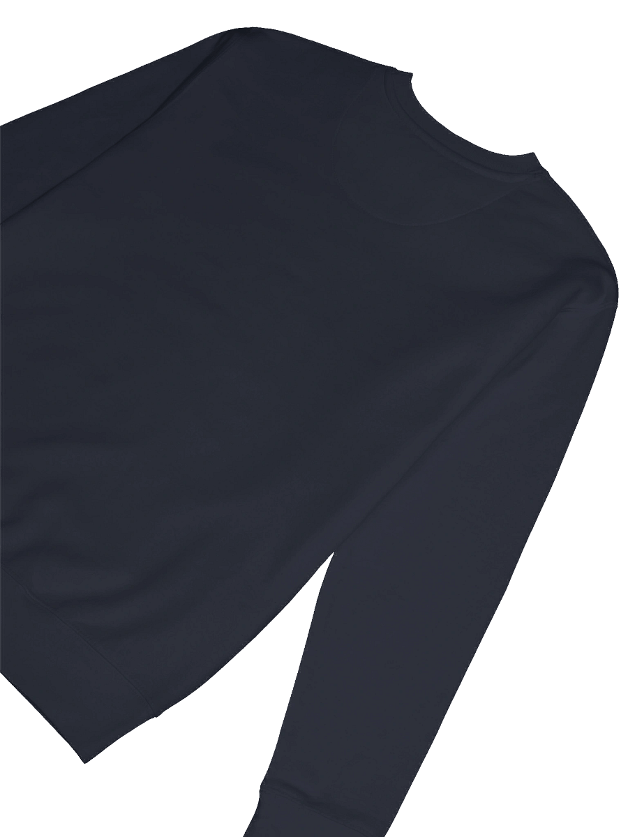 Flight of the Cinnamon Hummingbird Premium Sweatshirt product image (8)