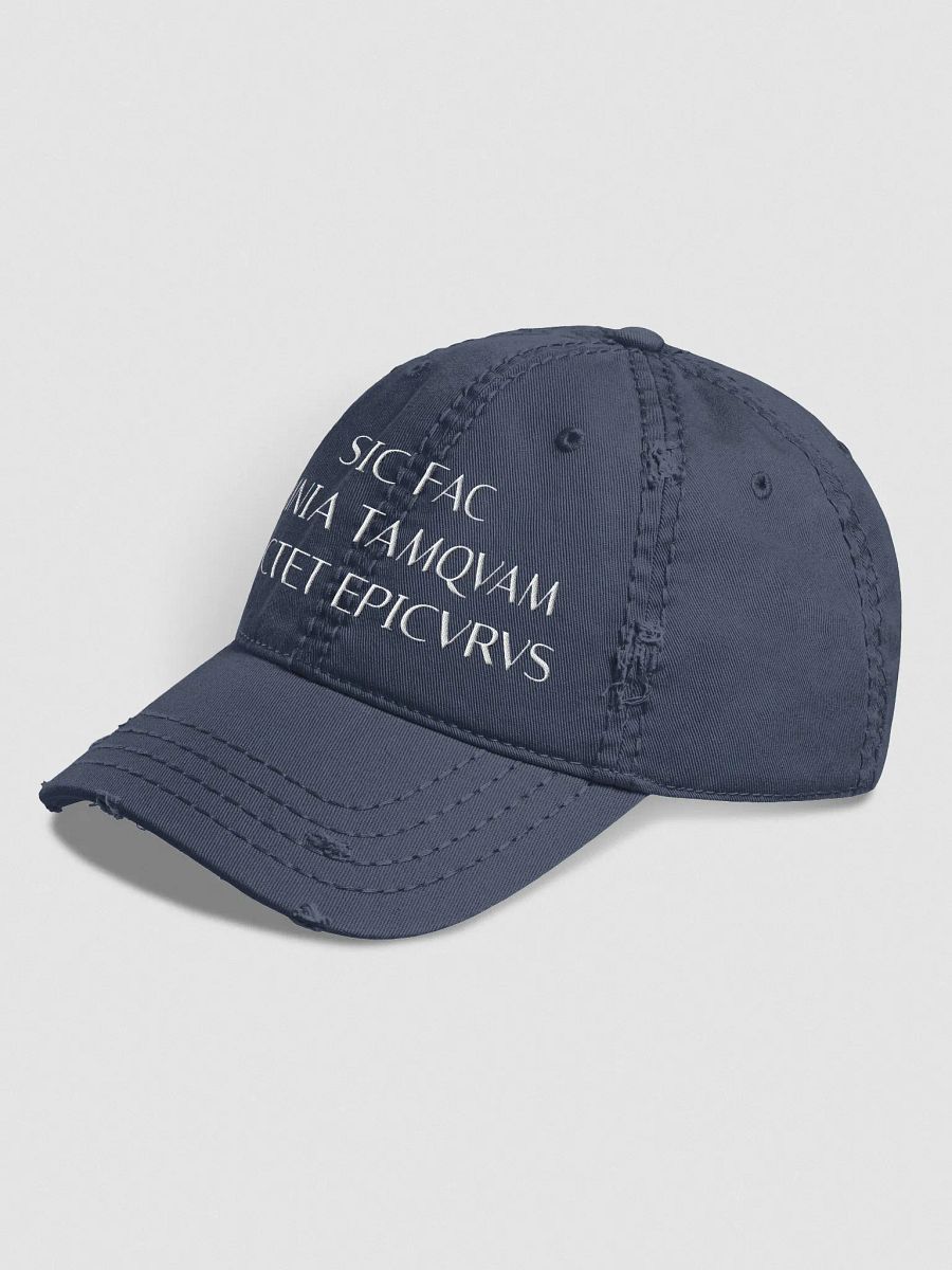 SFOTSE LIGHT (Otto Distressed Dad Hat) product image (5)