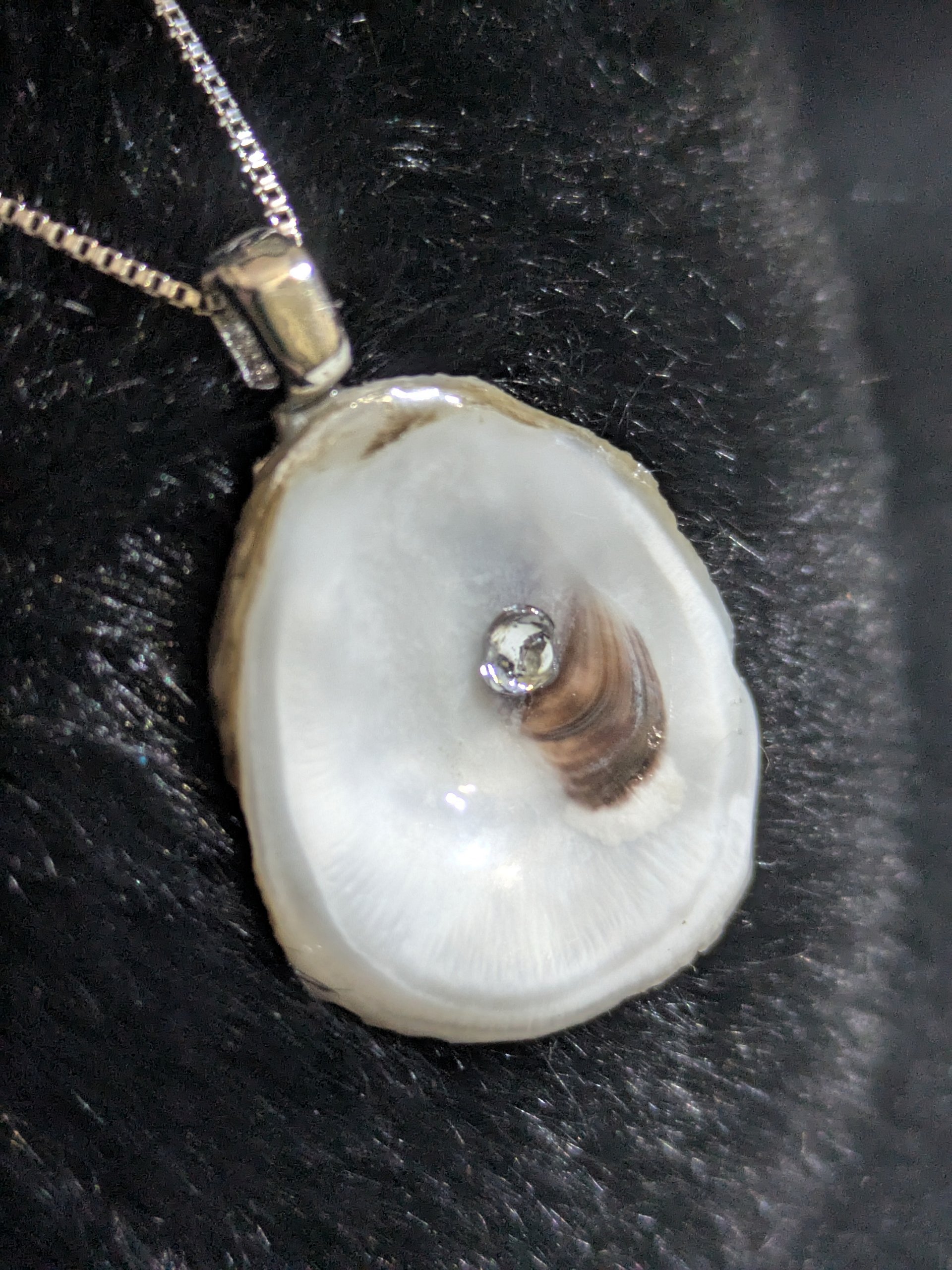Miscarried Memories - APR product image (1)