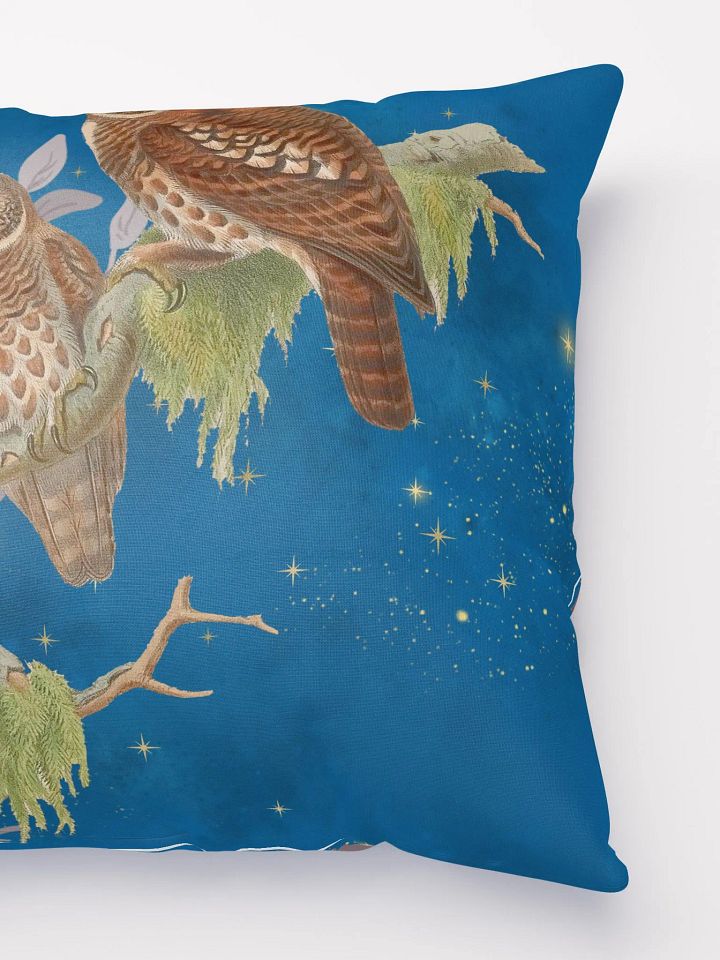 Night Owls product image (3)