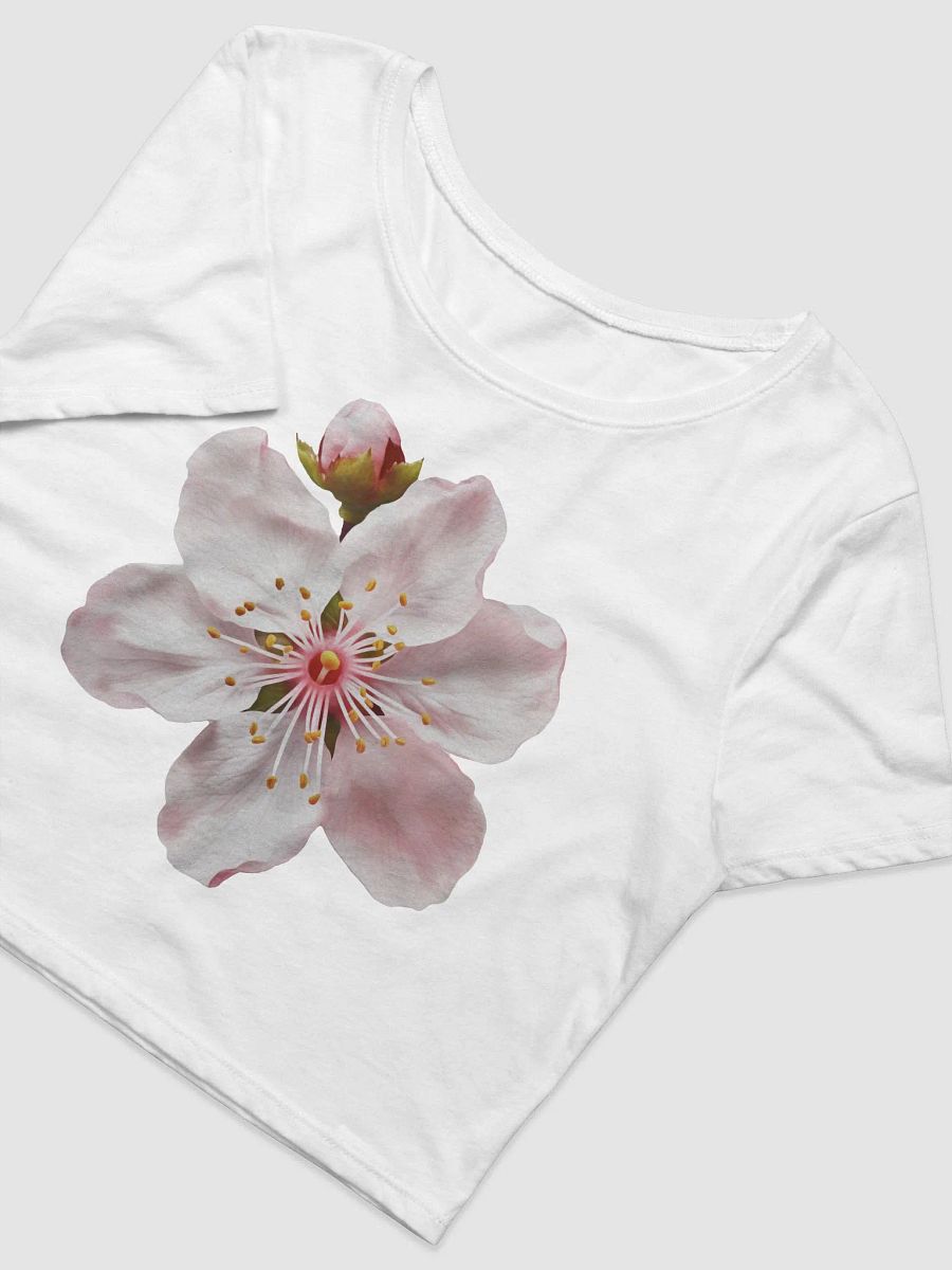Cherry Blossom crop tee product image (2)