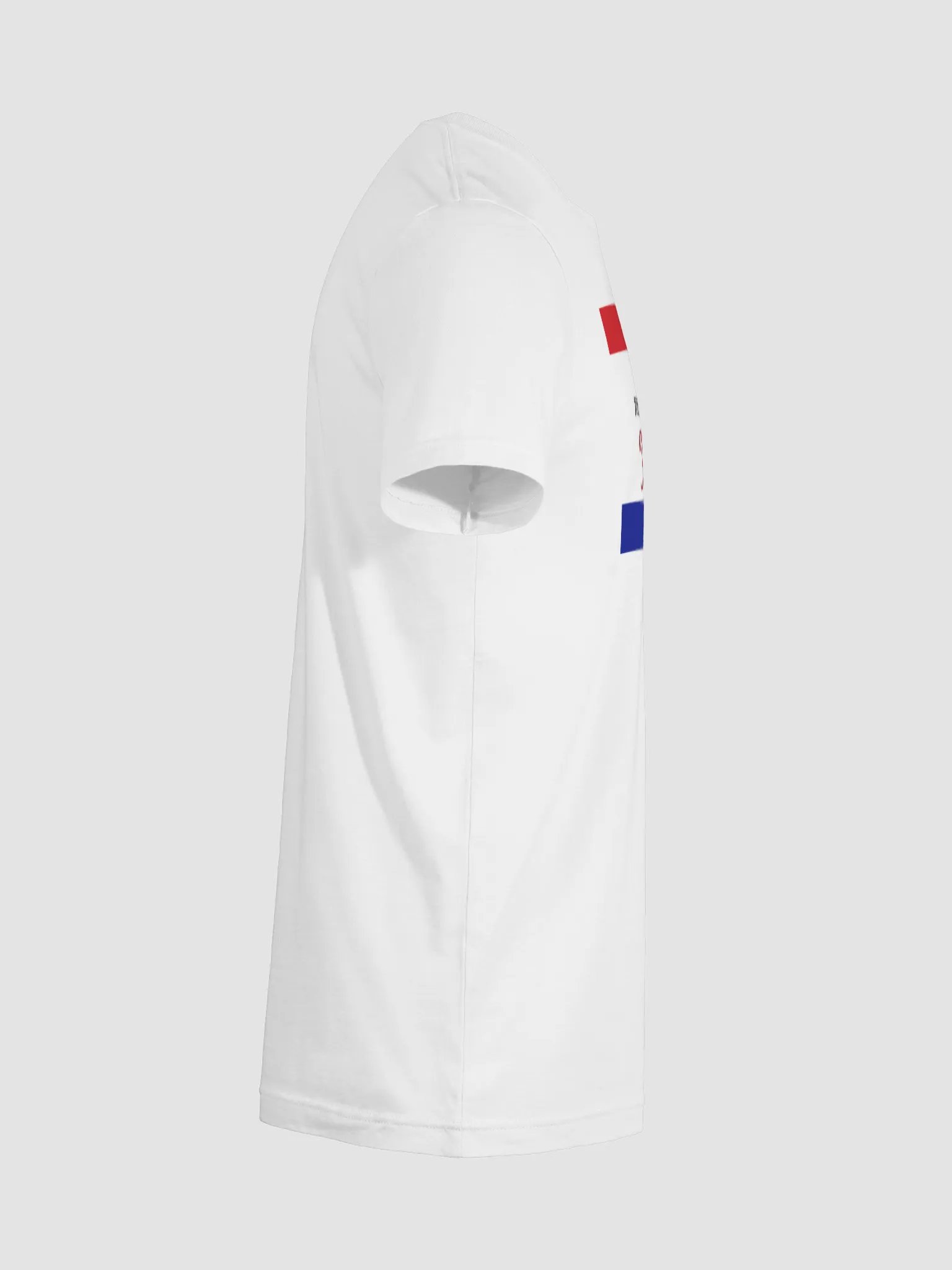 🤠 Don't Mess with Texas T-Shirt | Bella+Canvas Unisex Tee | Classic Texas Pride Shirt product image (95)