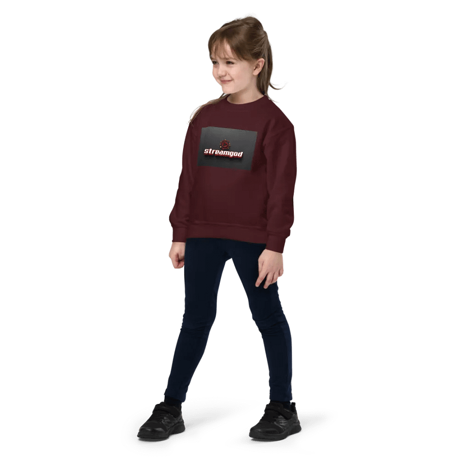 maroon youth STREAMGOD sweater #2 product image (4)