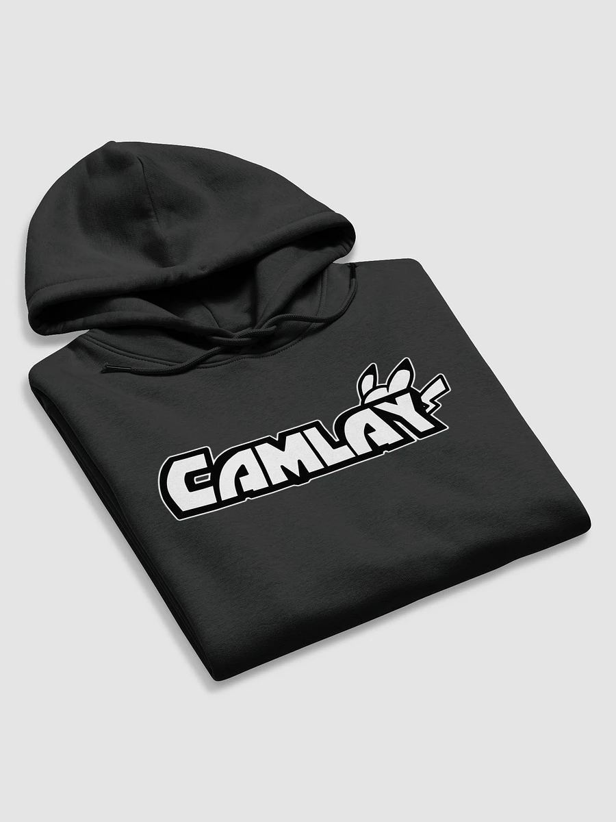 Thick Warm Camlay Logo Hoodie product image (30)
