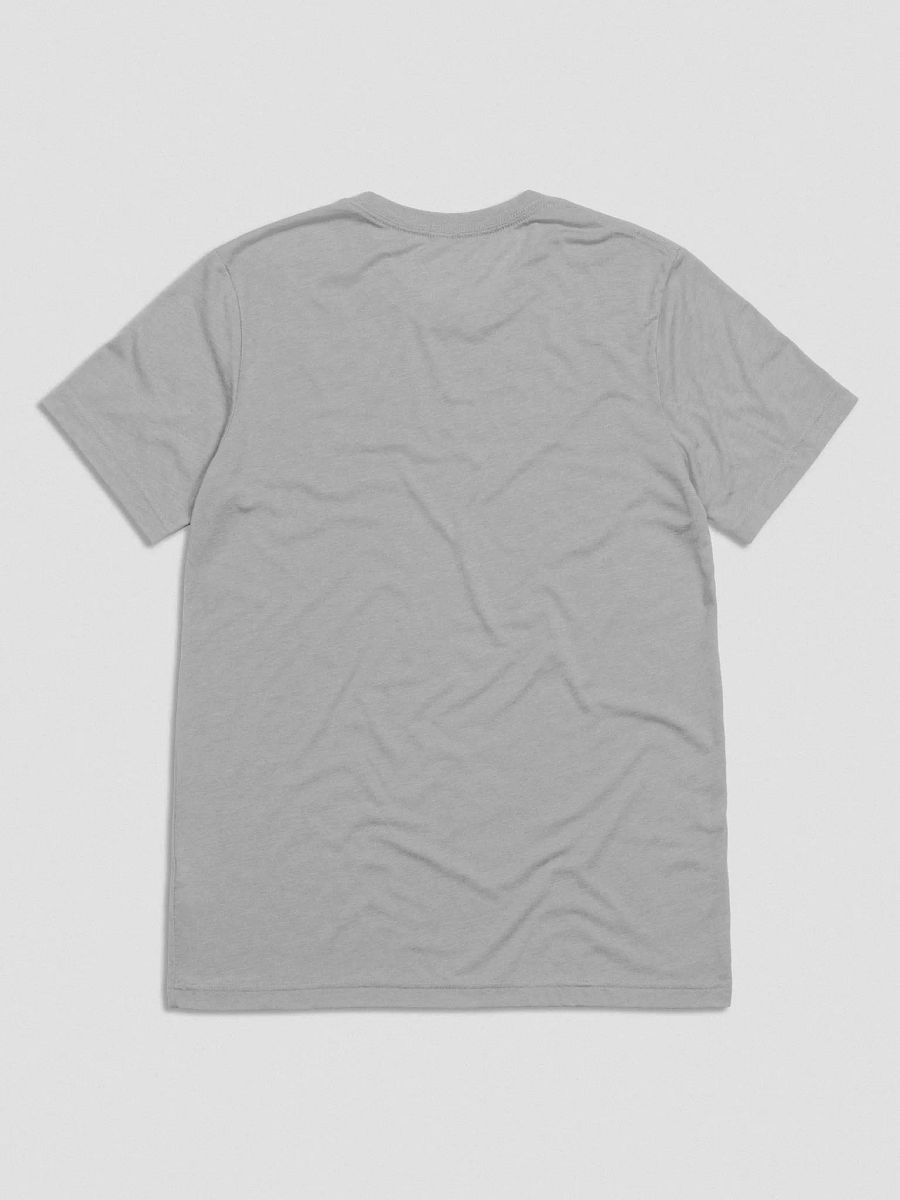 Pedantic T-Shirt (Red Box, Tri-Blend) product image (8)
