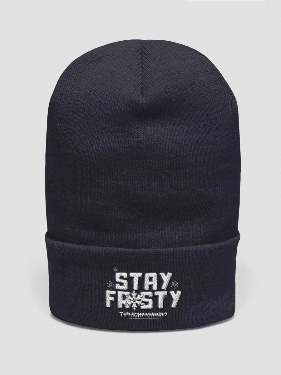 Stay Frosty Beanie product image (3)
