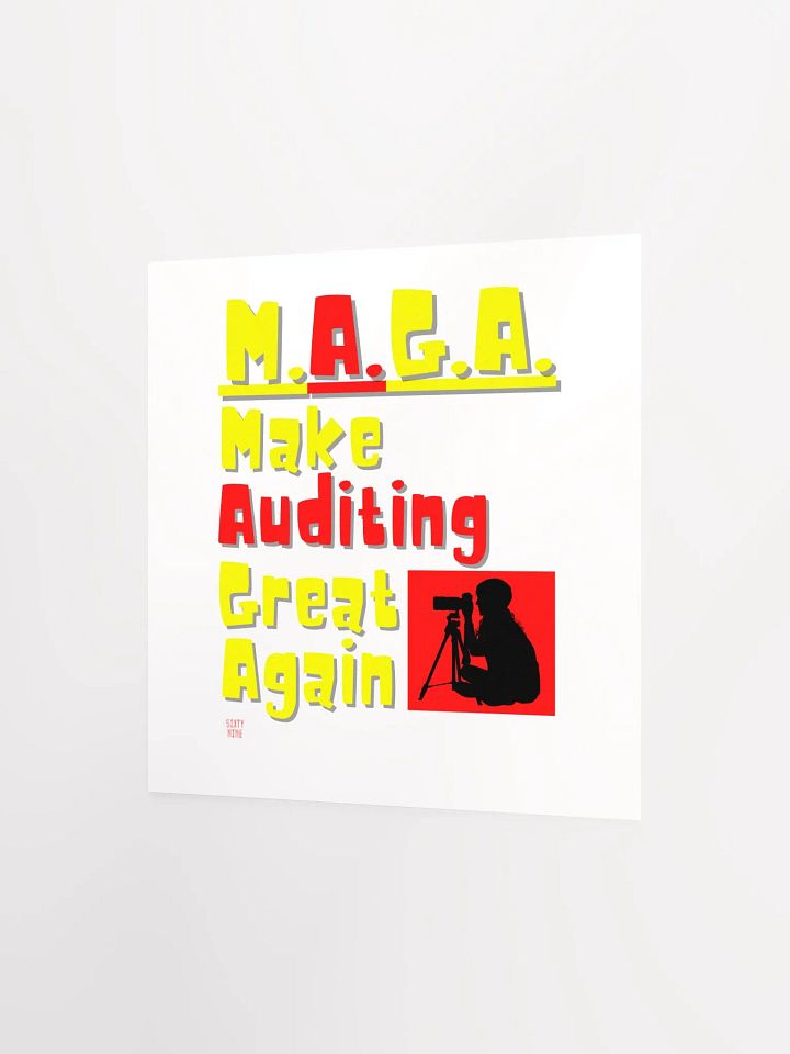 MAKE AUDITING GREAT AGAIN product image (7)