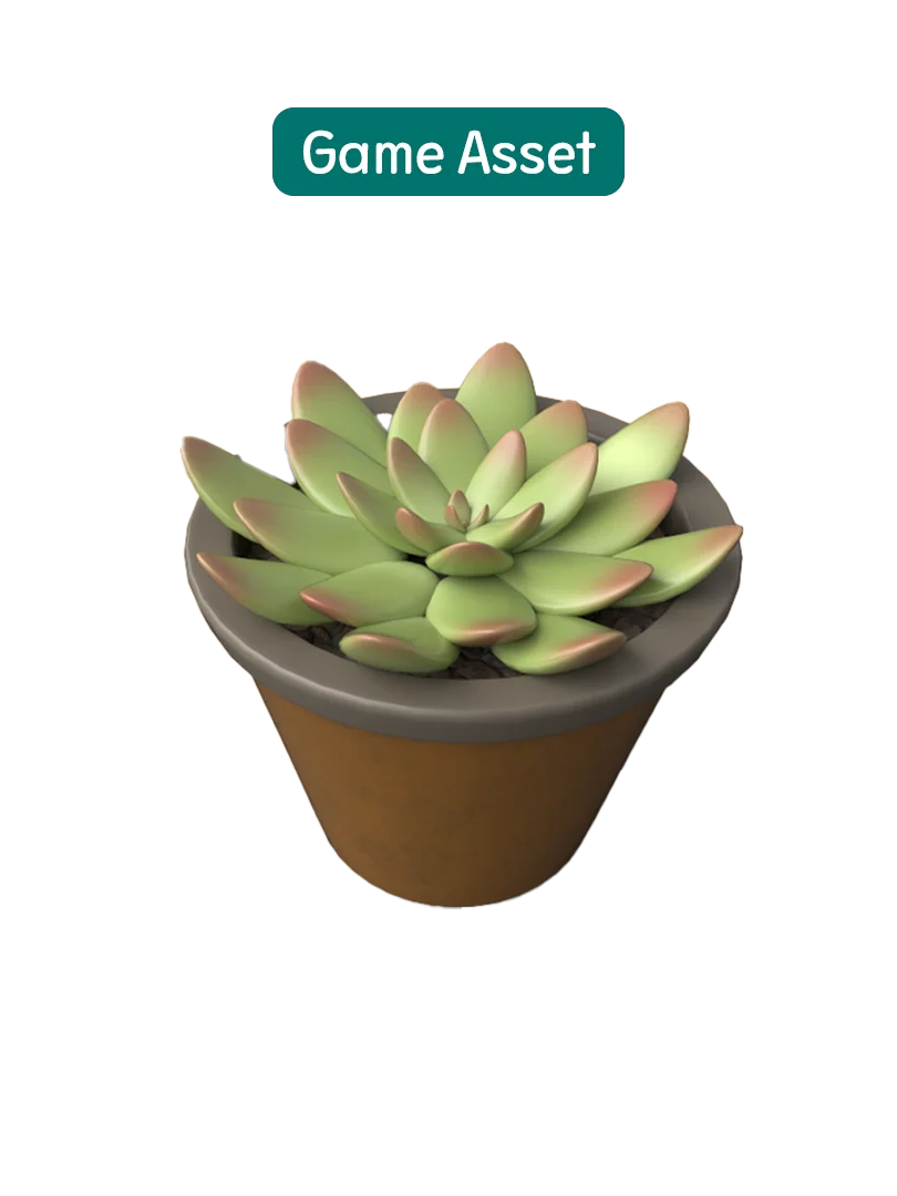 succulents product image (1)