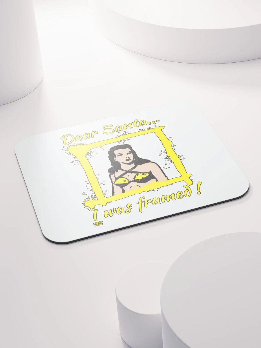 DEAR SANTA, I WAS FRAMED! product image (4)