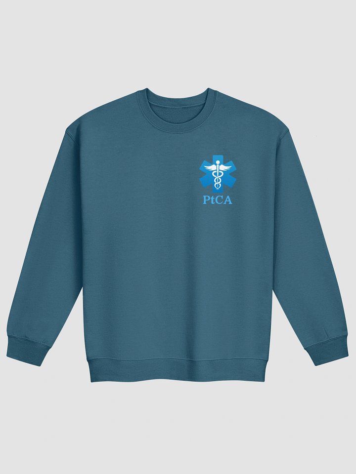 PtCA Values Crewneck product image (7)