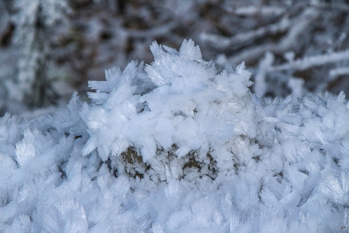 Fine Art - Frozen Crystals Bloom product image (1)