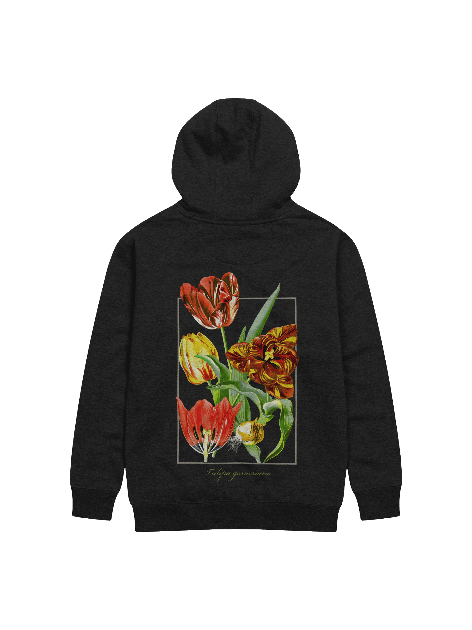 Garden Tulip (Tulip gesneriana) - Adult Unisex Hoodie product image (1)