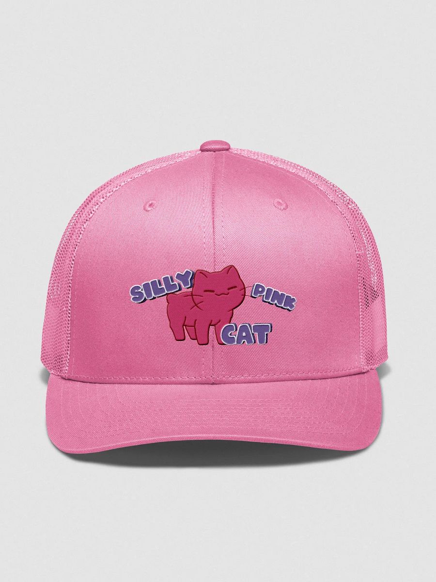 Silly Pink Hat product image (1)