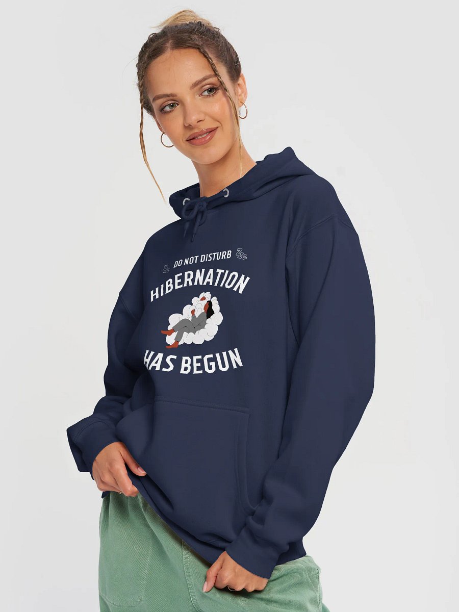Do Not Disturb: Hibernation Has Begun Hoodie product image (13)