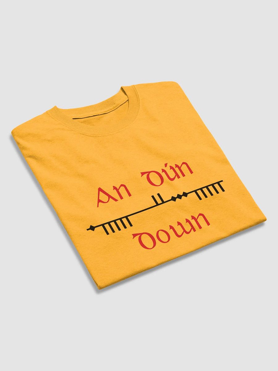 Down/An Dún Scholastic styleOgham , red and Black, Printed T-shirt product image (4)
