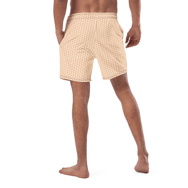 Syn-Stripe Trunks Orange/White product image (1)