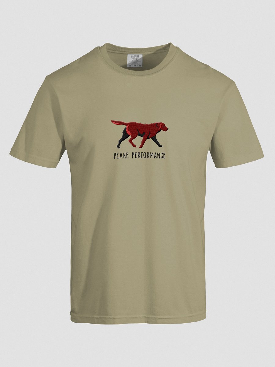 Peake Performance T-Shirt(Embroidered) of a Chesapeake Bay Retriever(Brown) product image (7)