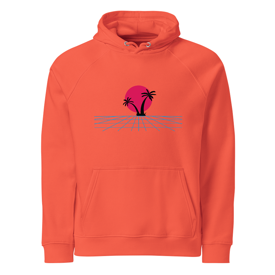 Retro-Futuristic Palm Tree Grid Raglan Hoodie product image (1)
