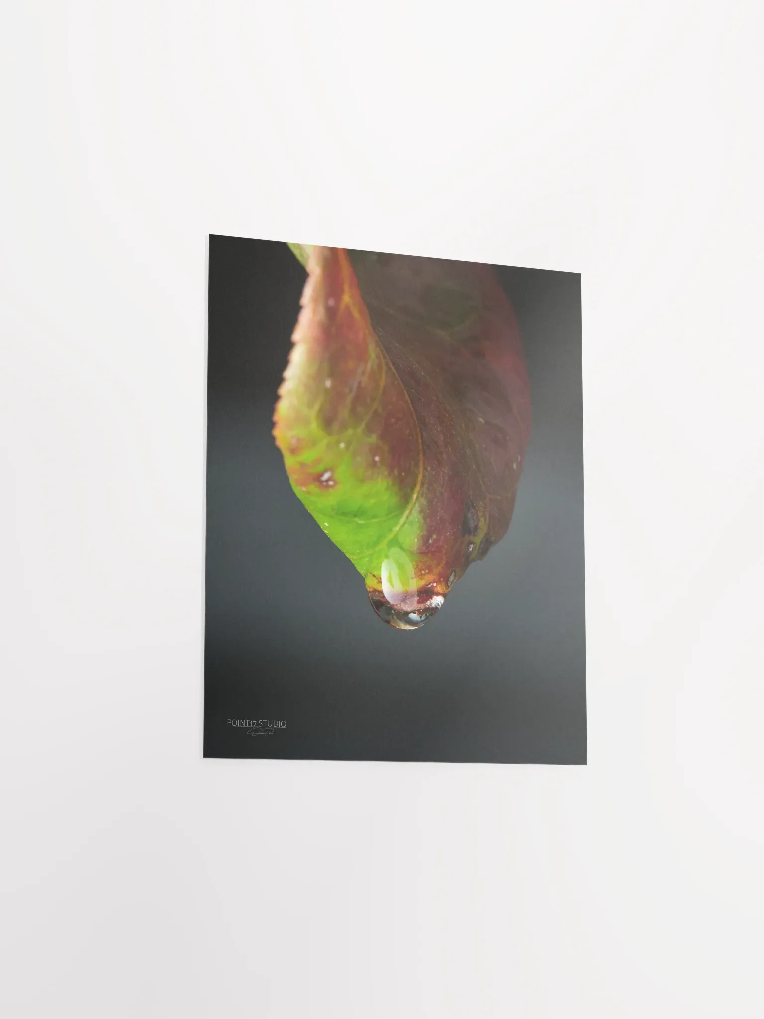 Crystal Drop - Poster product image (5)