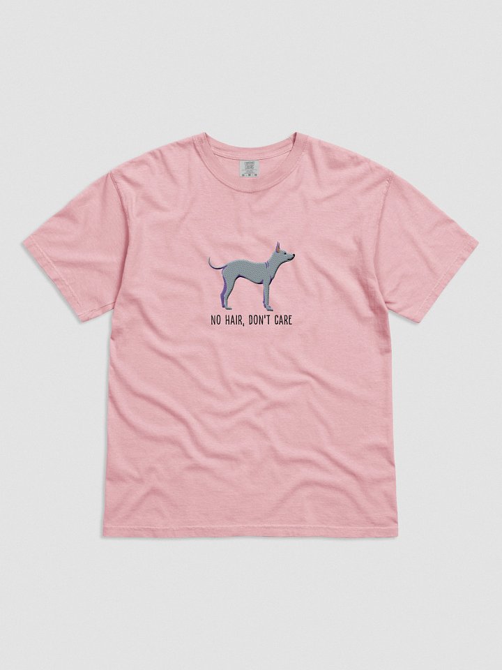 No Hair, Don't Care T-Shirt(Embroidered) of an American Hairless Terrier(Gray) product image (41)