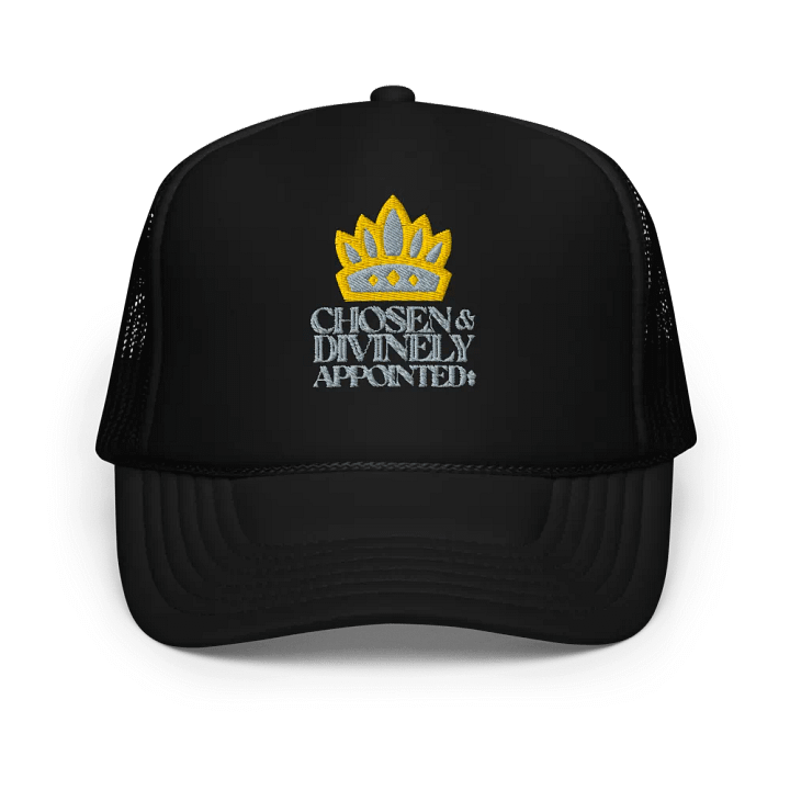 Chosen and Divinely Appointed product image (1)