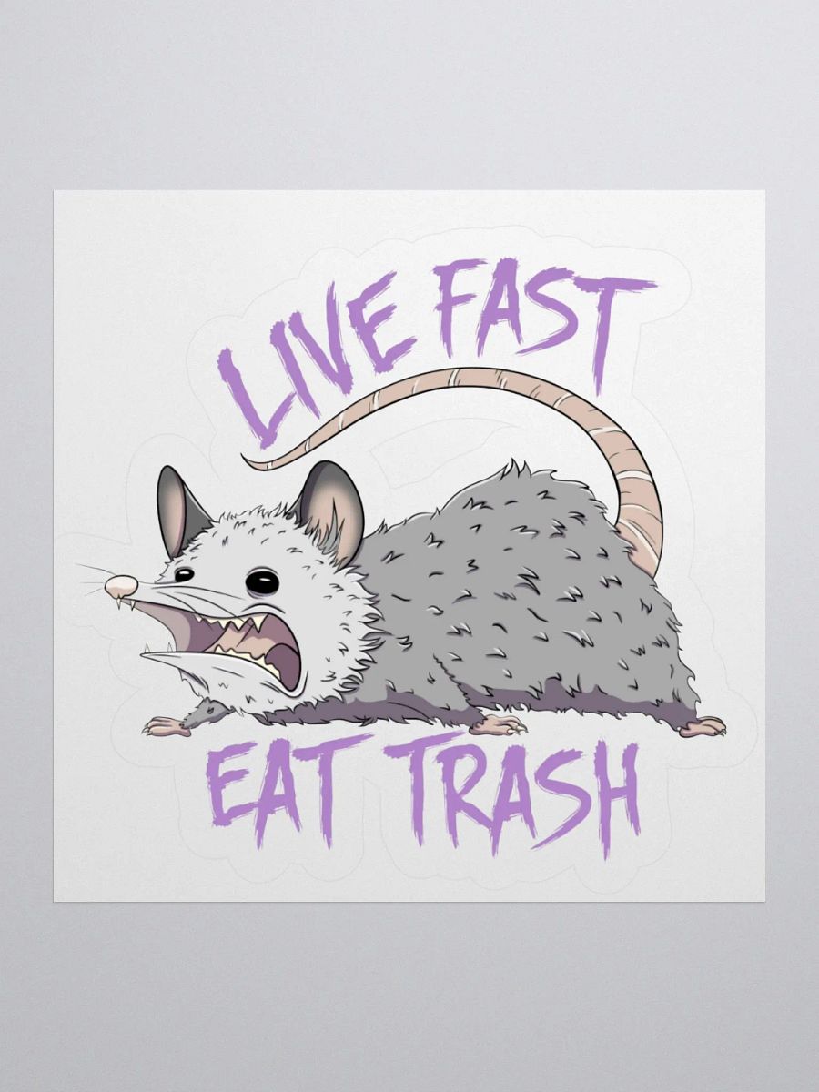 Live Fast Eat Trash Sticker product image (1)