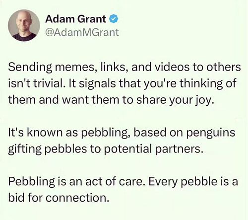 Thank you to everyone who has given me pebbles ❤️