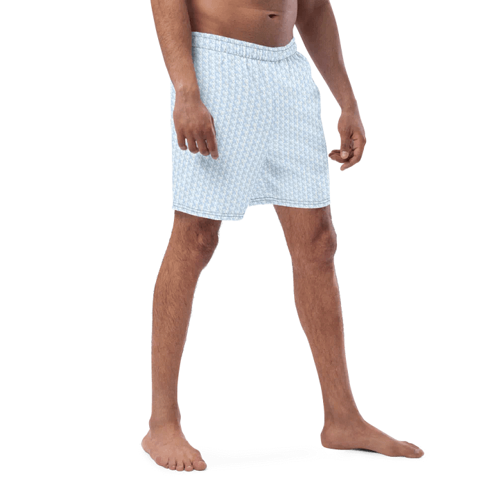 Syn-Stripe Trunks Blue/White product image (1)