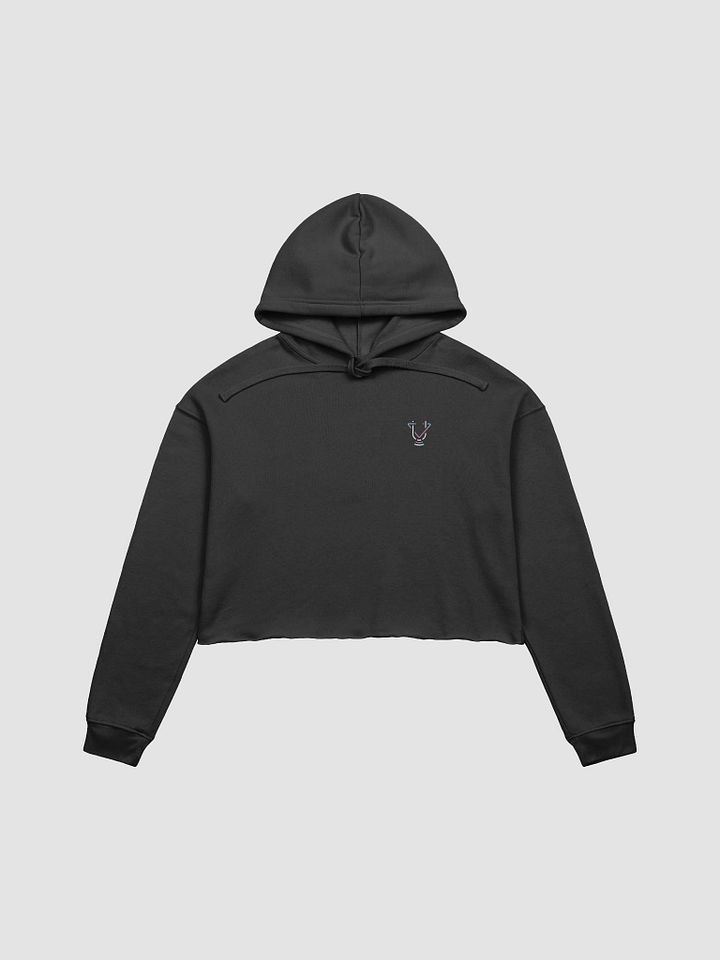 voiceuLo-Key Crop Hoodie product image (1)