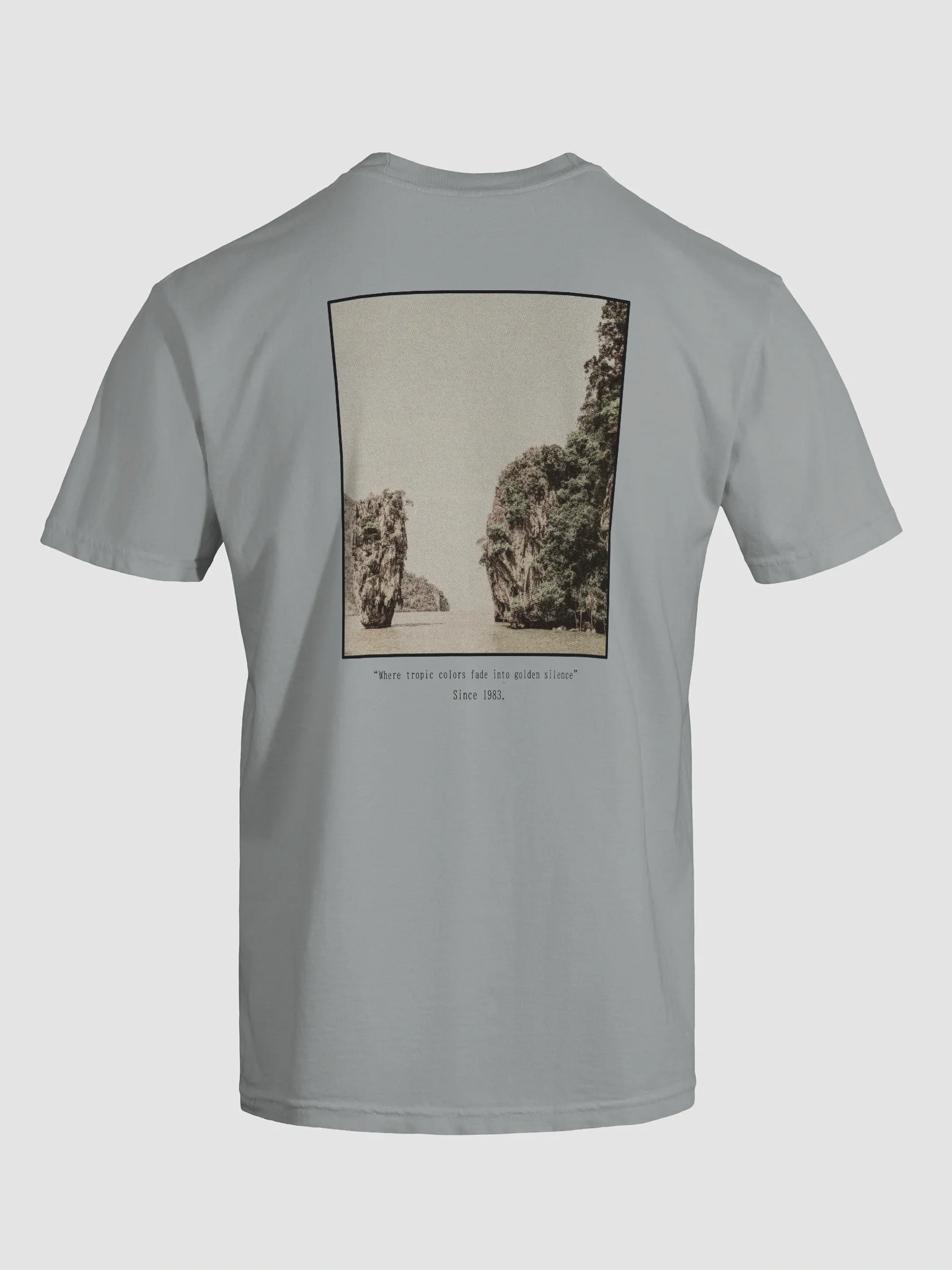 Tropic fade Garment-Dyed Heavy tee product image (9)