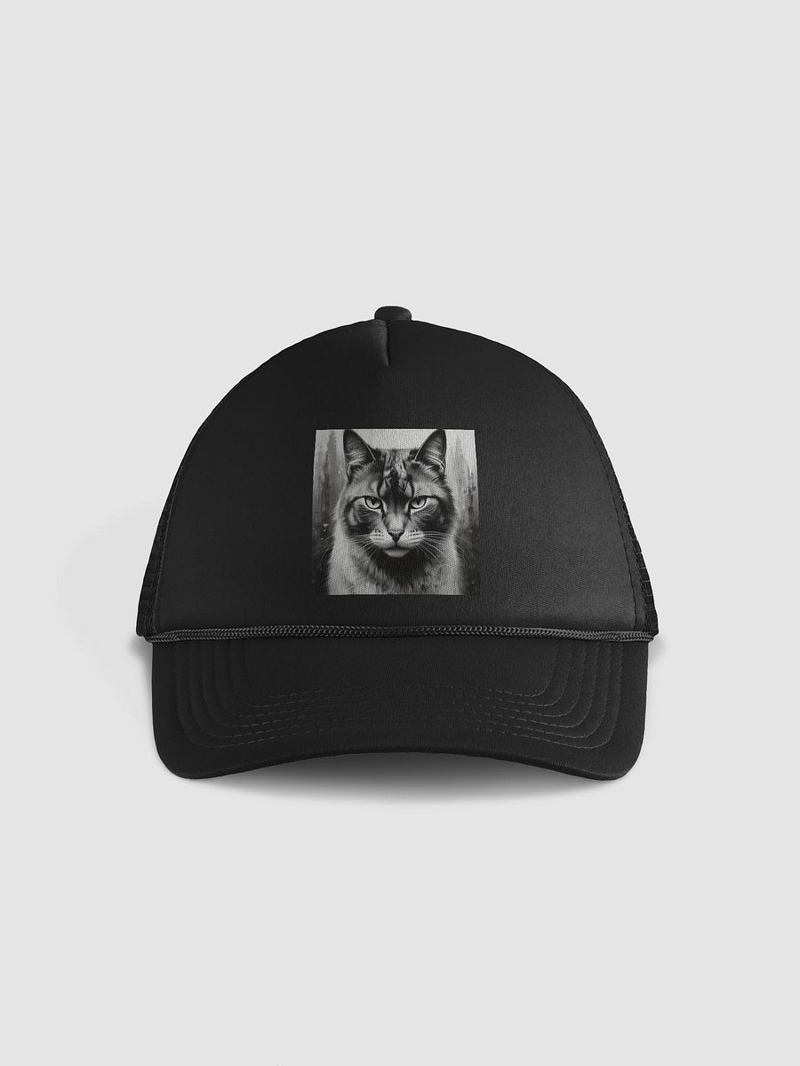 Cat product image (1)