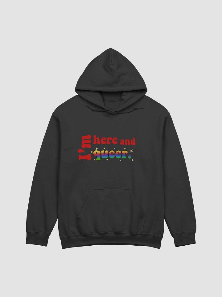 I'm Here and Queer Hoodie product image (5)