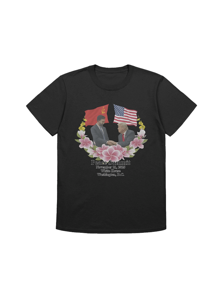 Peace Summit Donald Trump and Zohran Mamdani T-Shirt product image (1)