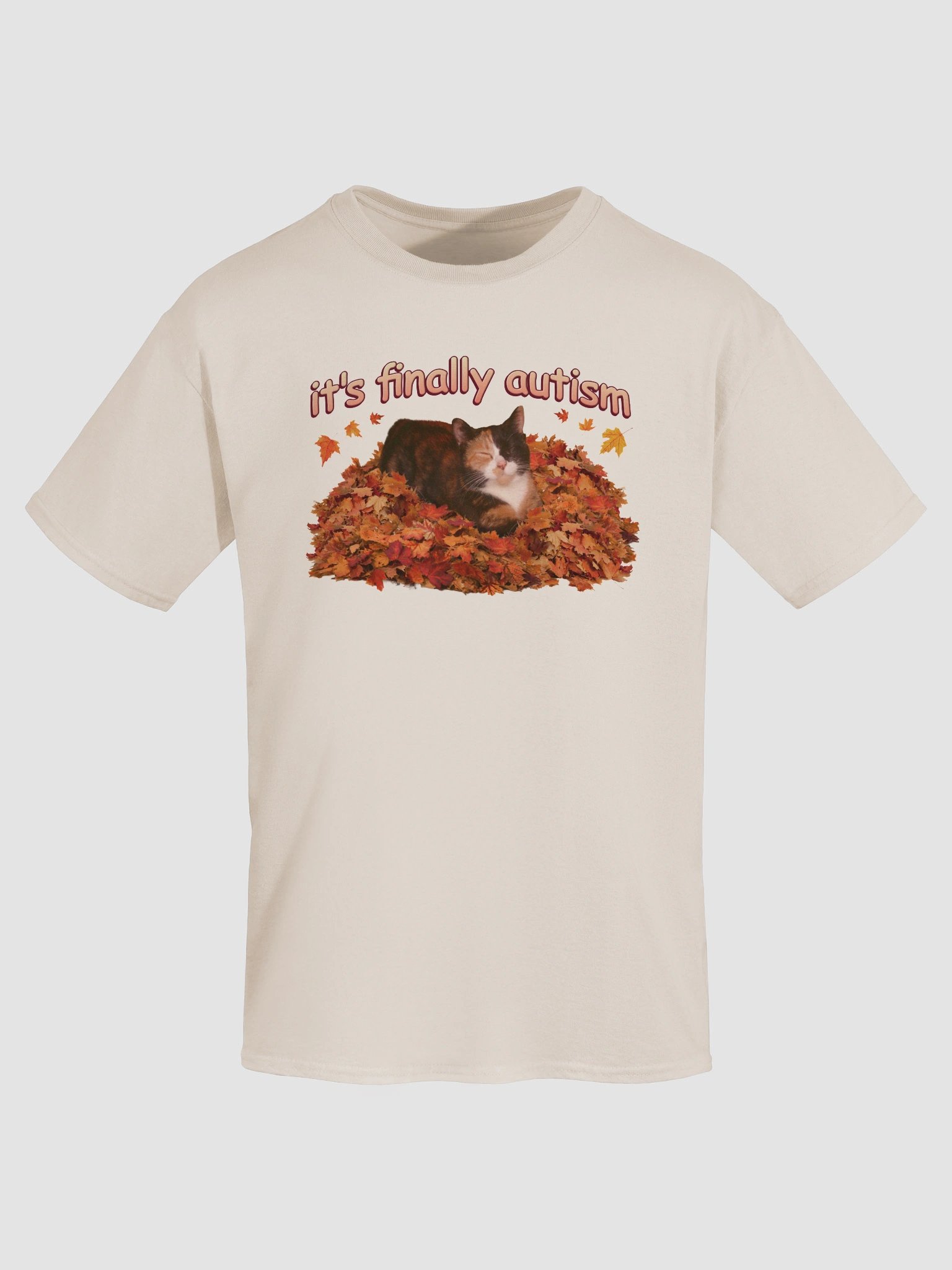 It's Finally Autism Autumn Cat T-shirt product image (7)