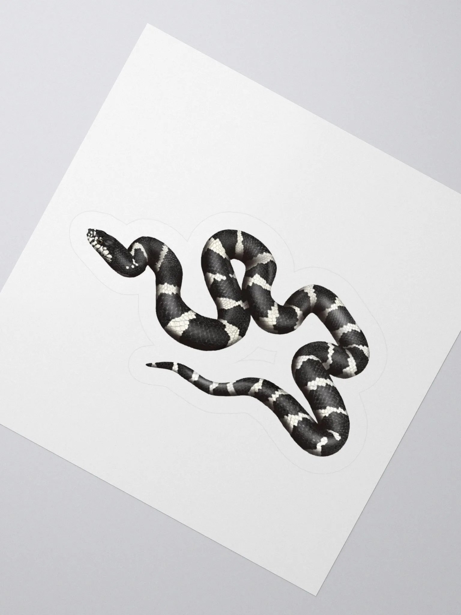 Die-Cut Sticker – California Kingsnake product image (2)