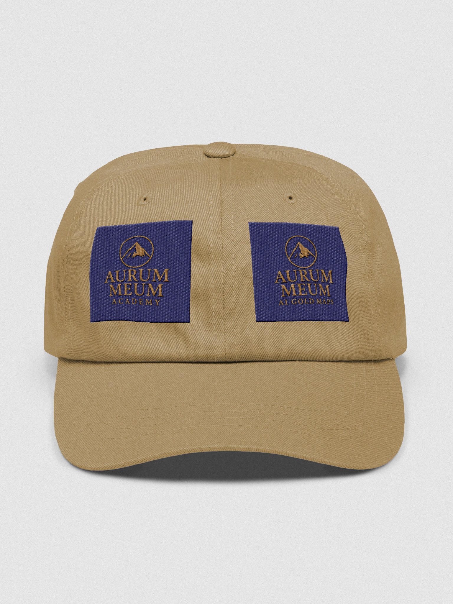 Aurum Meum AI Academy & AI Gold Maps Dad's CAP product image (1)