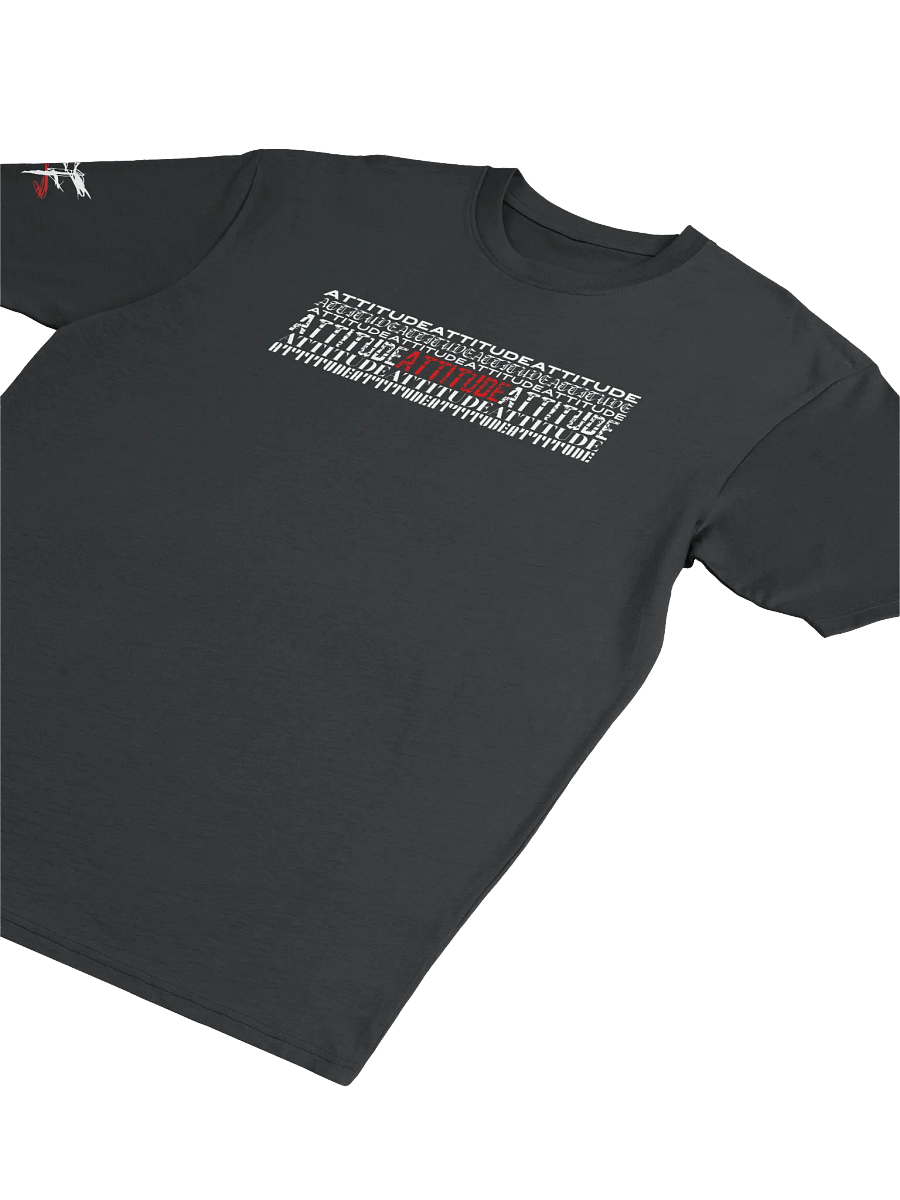 Attitude: Austin Heavyweight Tee product image (3)