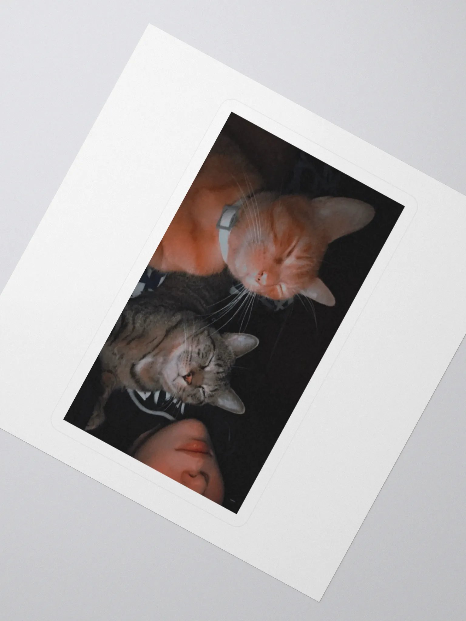 kitty stickers product image (2)