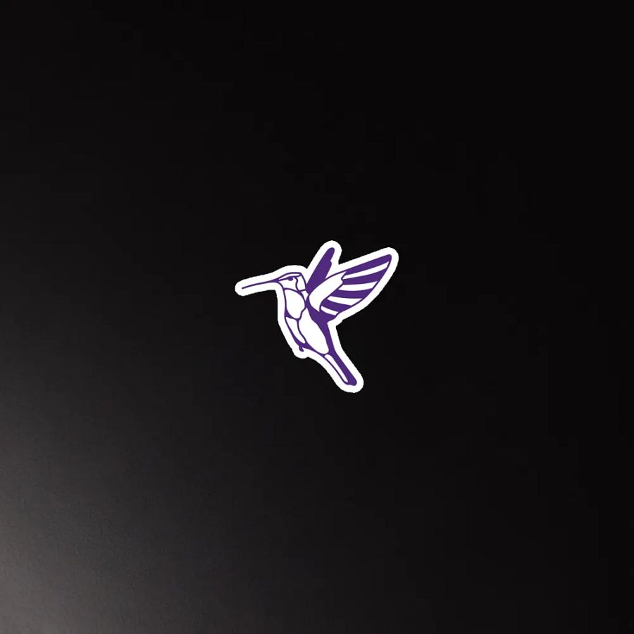 Elegant Hummingbird Die-Cut Magnet product image (6)
