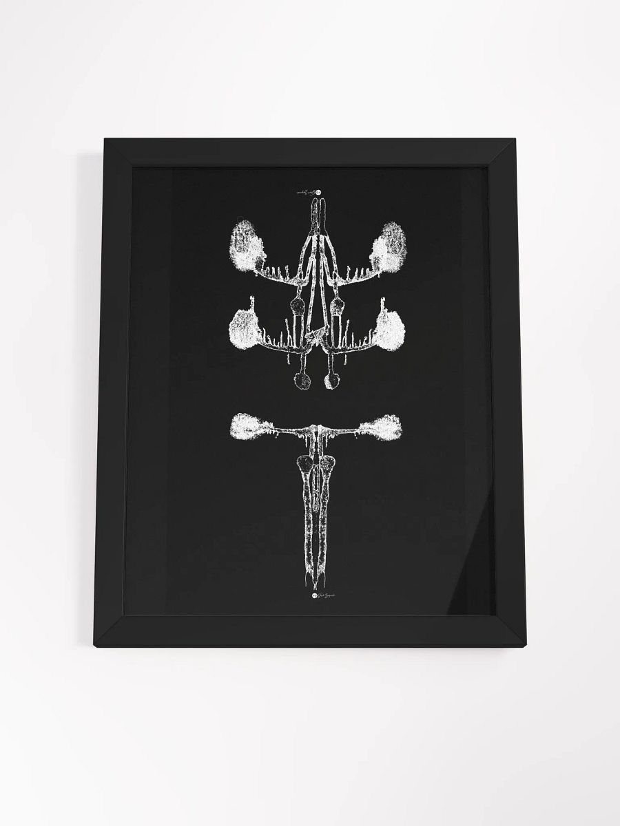 Inkblot no.4 | Framed Print | 11 x 16 product image (4)