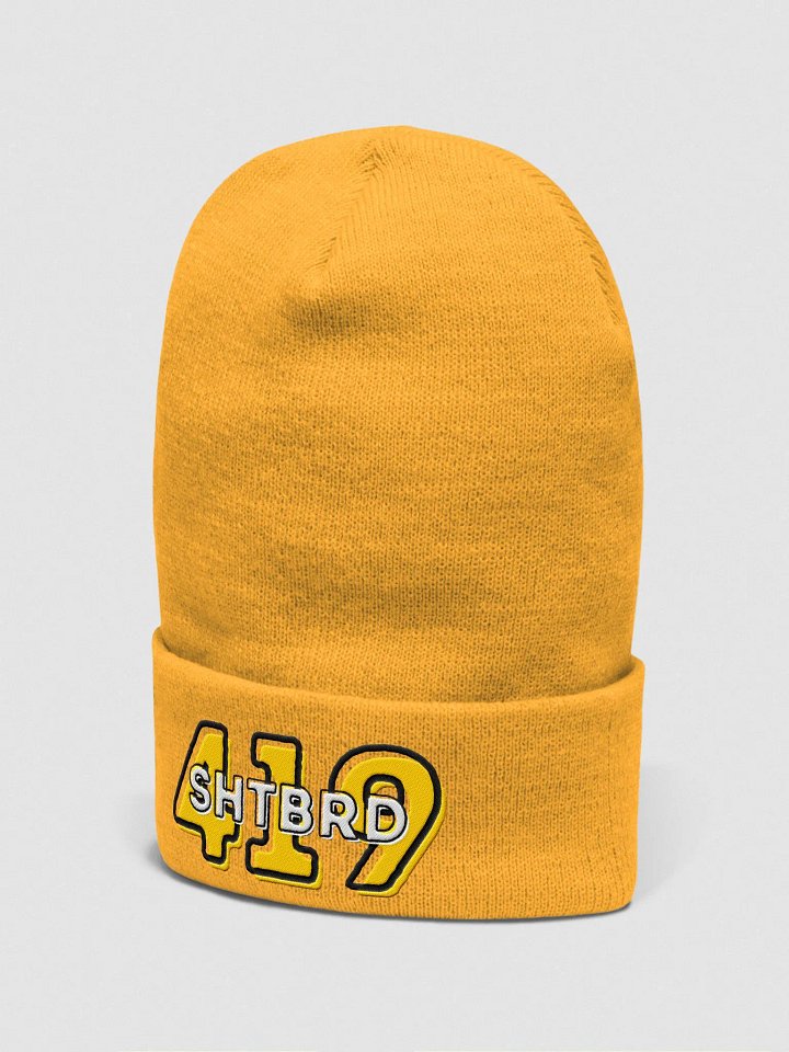 ShtBrd419 Bright-Colored Beanie product image (6)