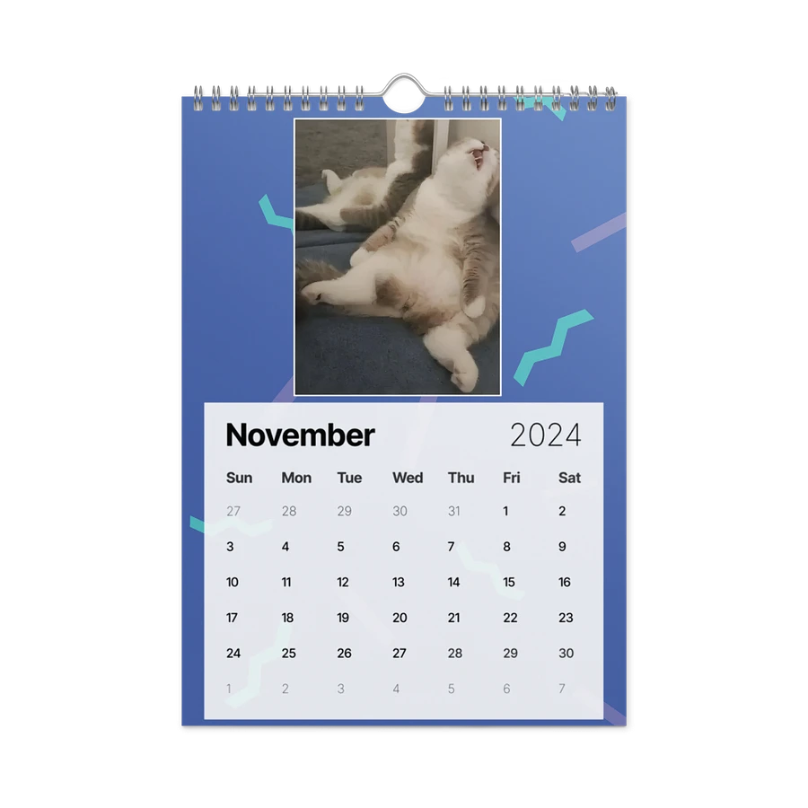 Wall Calendar (2024): Meme Cats product image (15)