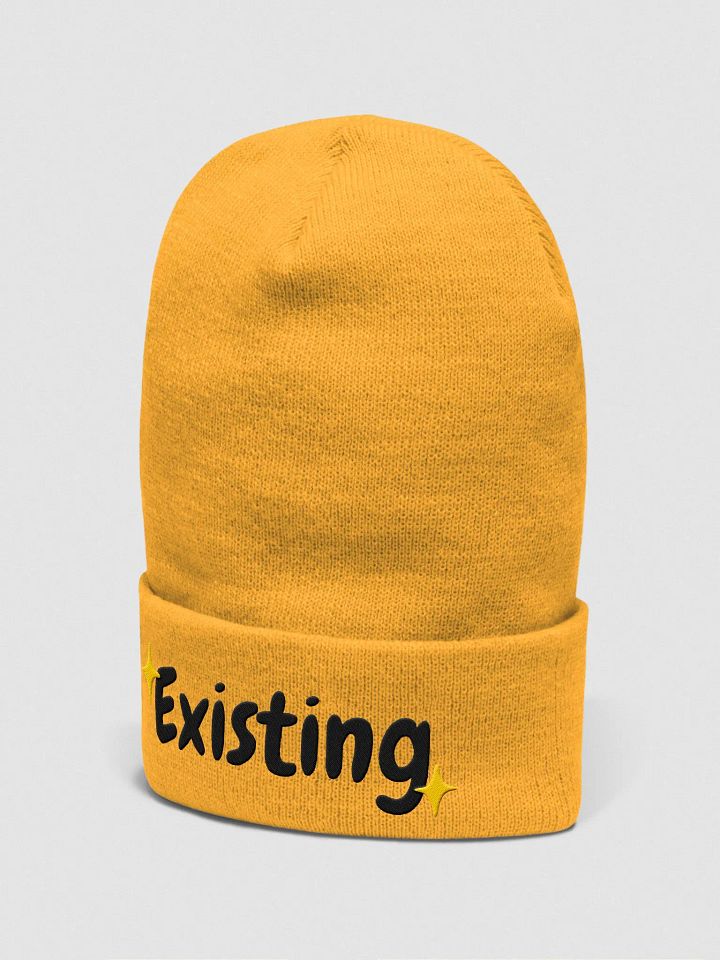 Existing Beanie | Black Lettering product image (2)