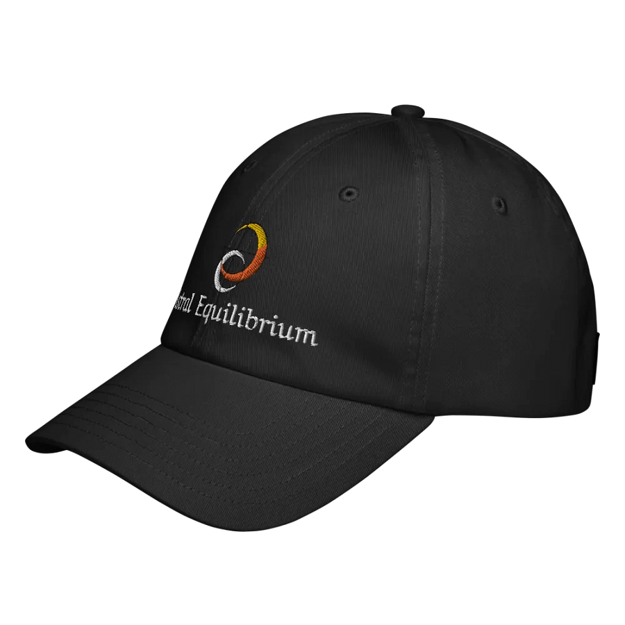 Embroidered Dad Hat product image (5)