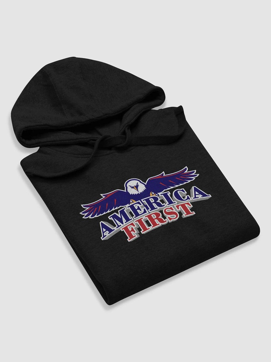 America First - Premium Hoodie product image (3)