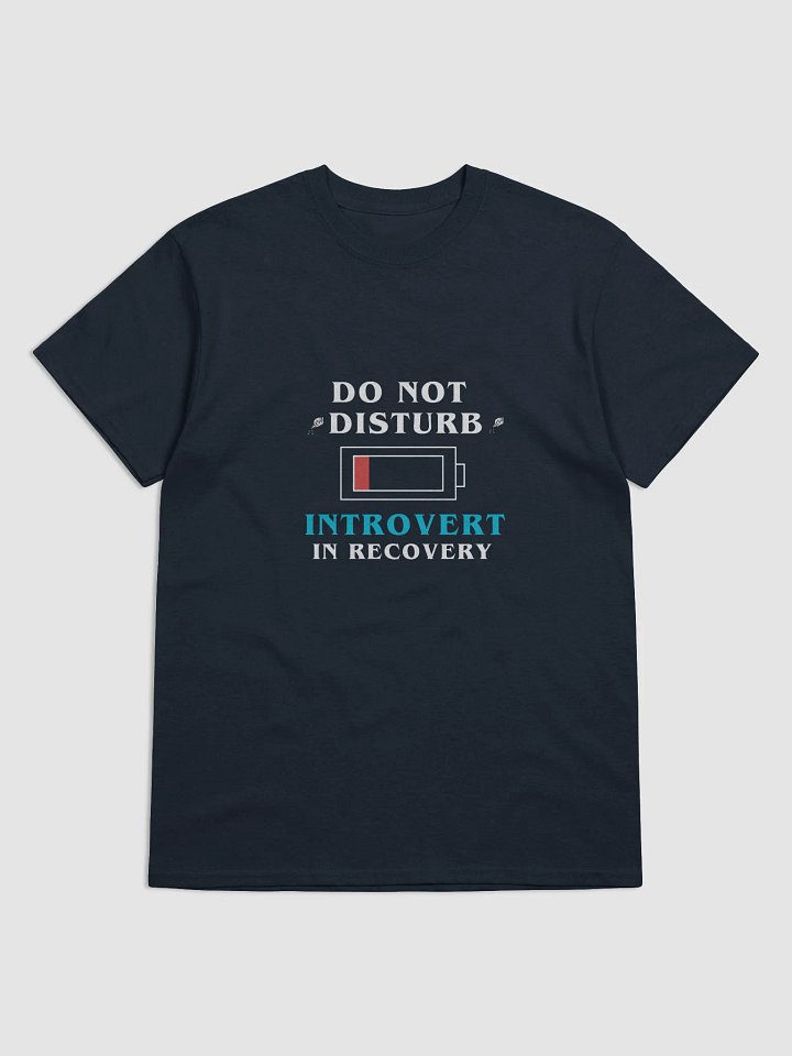 Do Not Disturb: Introvert in Recovery Shirt product image (1)