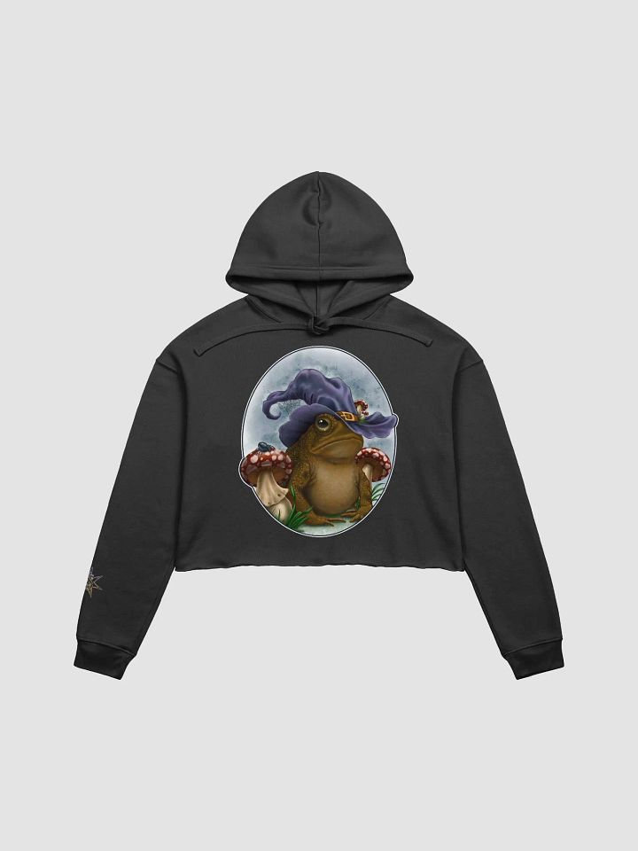 Enchanted Toad - SFA Crop Hoodie product image (1)