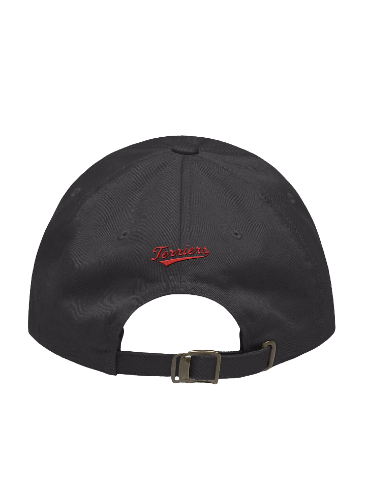 Galt Terriers Dad Hat product image (5)