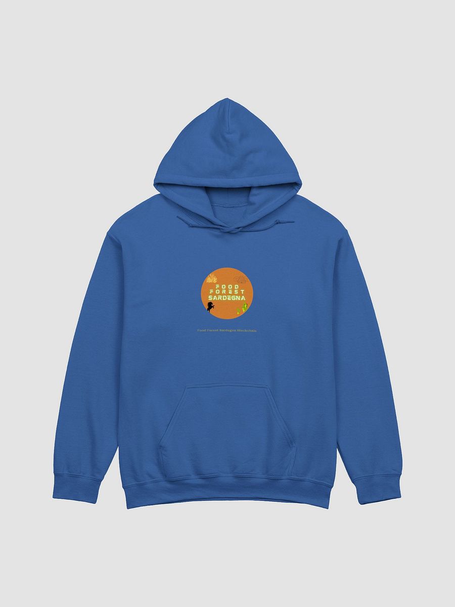 FFS Hoodie Royal - Felpa Royal FFS product image (1)