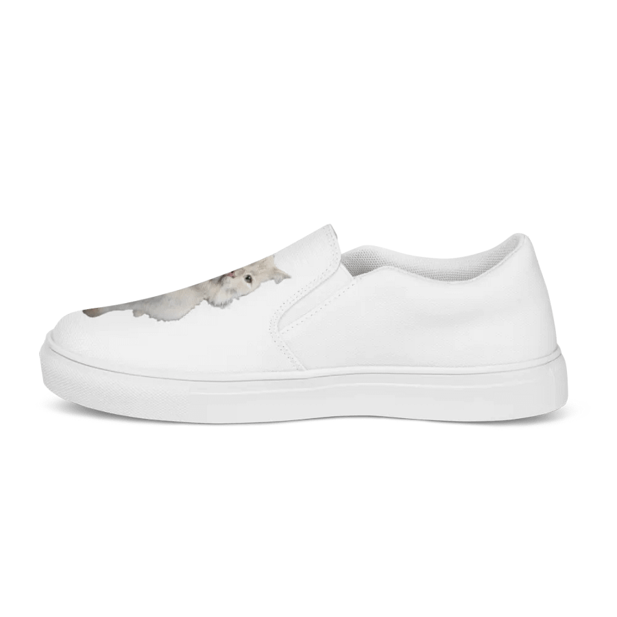 Anime Mirrored Sage! Women's Slip on Shoes product image (9)
